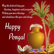 Happy Pongal: Greetings,Quotes,Wishes,GIF logo